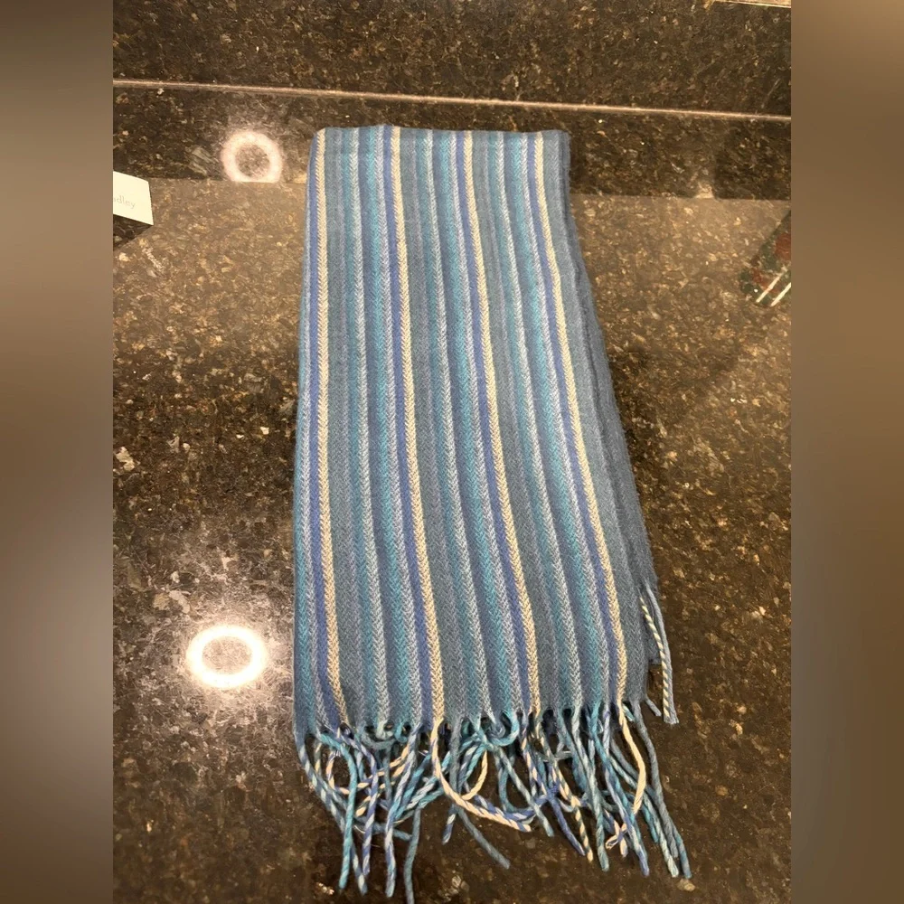 V. FRAAS Cashmink Blue Striped Scarf